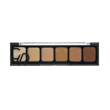 Correct & Conceal Palette 02 Dark