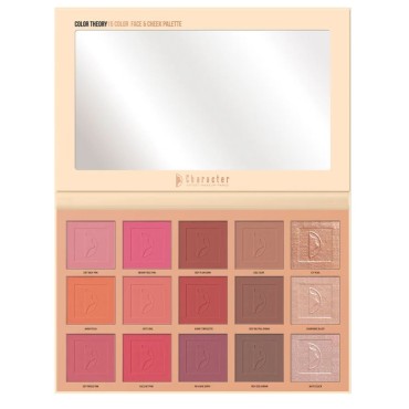 Color Theory Face Palette CTF001