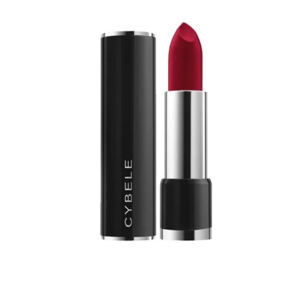 Lipstick Matte 310