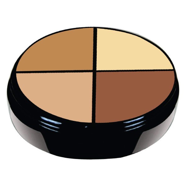 4 Color Concealer AC002