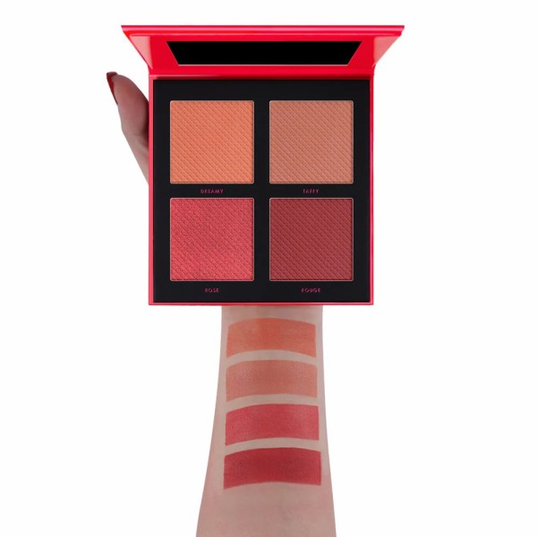 Blush Palette DGB001