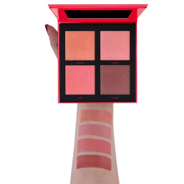 Blush Palette DGB002