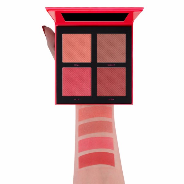 Blush Palette DGB004