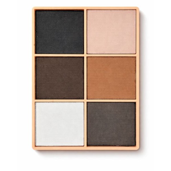 Eyebrow Palette FNB002
