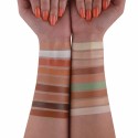 Pro Artist Multitasker Corrector Palette - MPC001
