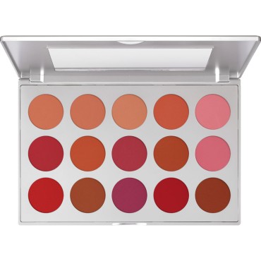 Professional Blusher Set 15 Colors Art 5115