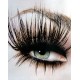 LASHES